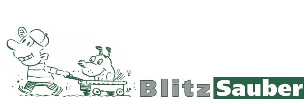 bewertungen-logo-blitz-sauber-sassenroth